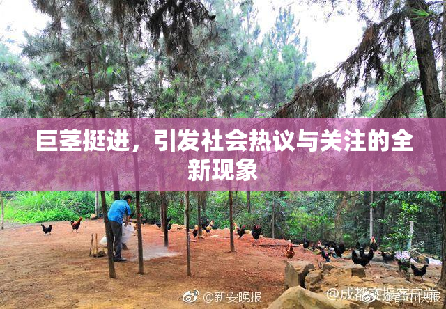 巨茎挺进，引发社会热议与关注的全新现象