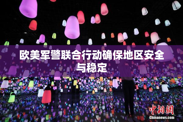 欧美军警联合行动确保地区安全与稳定