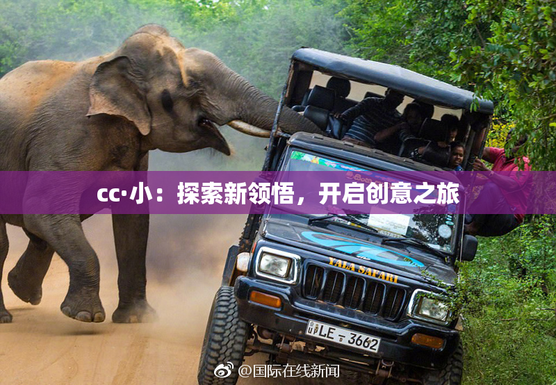 cc·小：探索新领悟，开启创意之旅