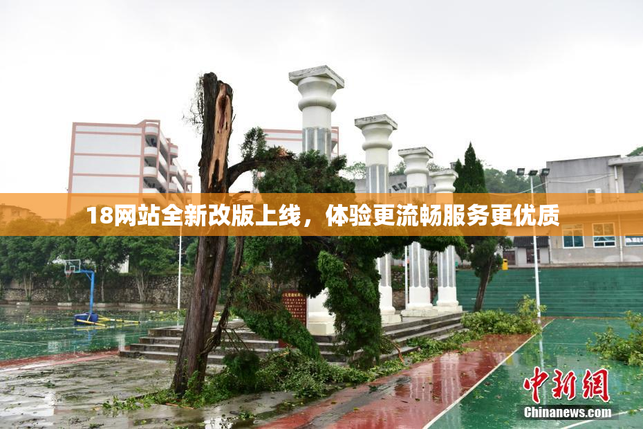 18网站全新改版上线，体验更流畅服务更优质