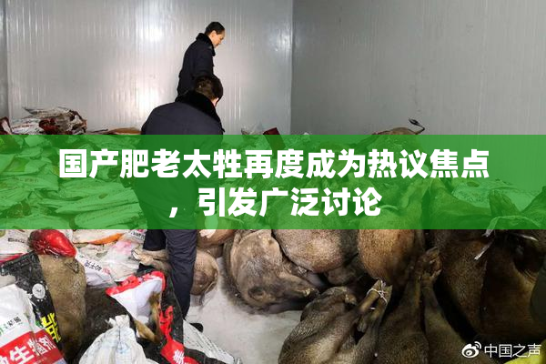 国产肥老太牲再度成为热议焦点，引发广泛讨论