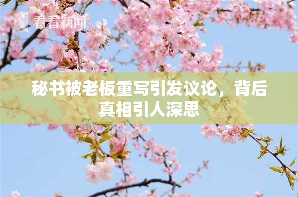 秘书被老板重写引发议论，背后真相引人深思