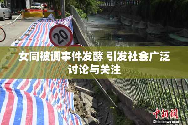 女同被调事件发酵 引发社会广泛讨论与关注