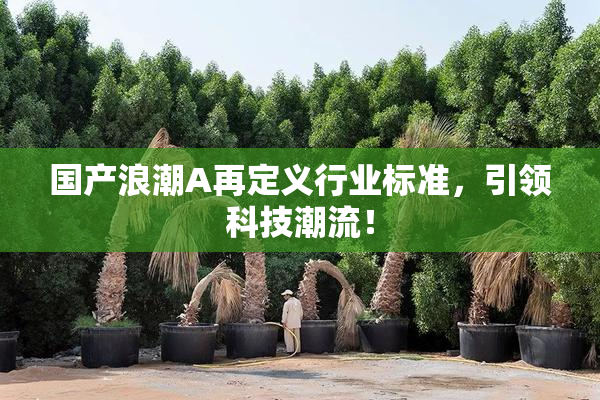 国产浪潮A再定义行业标准，引领科技潮流！