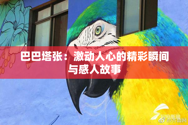巴巴塔张：激动人心的精彩瞬间与感人故事