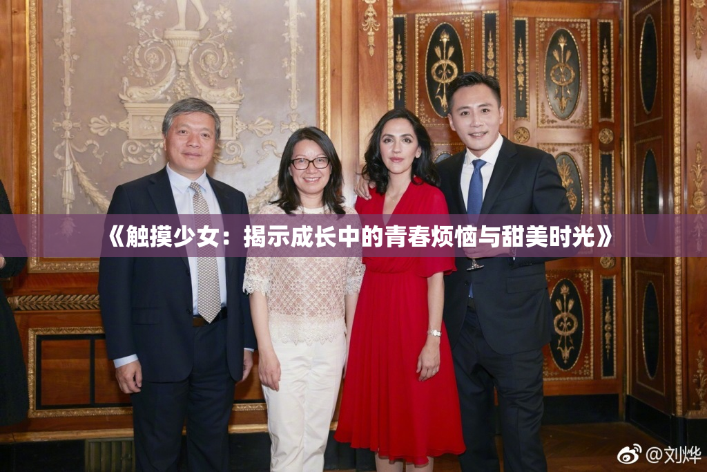 《触摸少女：揭示成长中的青春烦恼与甜美时光》