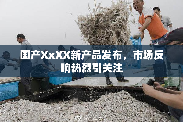 国产XxXX新产品发布，市场反响热烈引关注