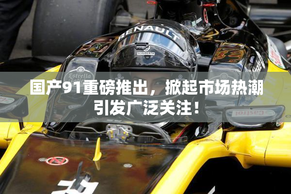 国产91重磅推出，掀起市场热潮引发广泛关注！