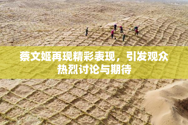 蔡文姬再现精彩表现，引发观众热烈讨论与期待
