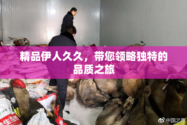精品伊人久久，带您领略独特的品质之旅