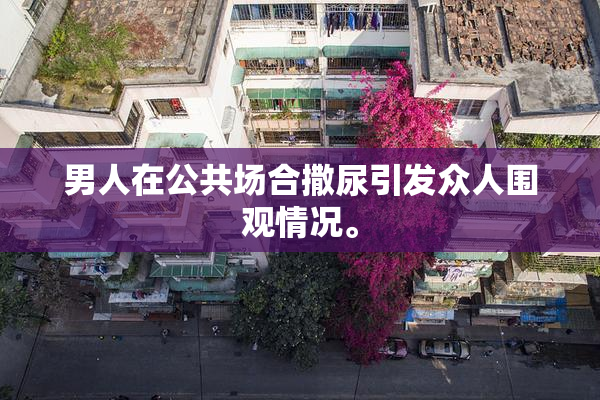 男人在公共场合撒尿引发众人围观情况。