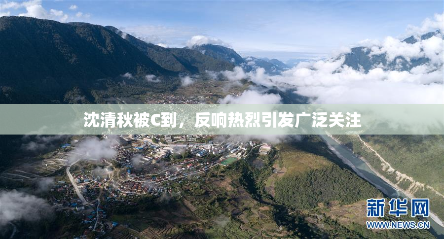 沈清秋被C到，反响热烈引发广泛关注