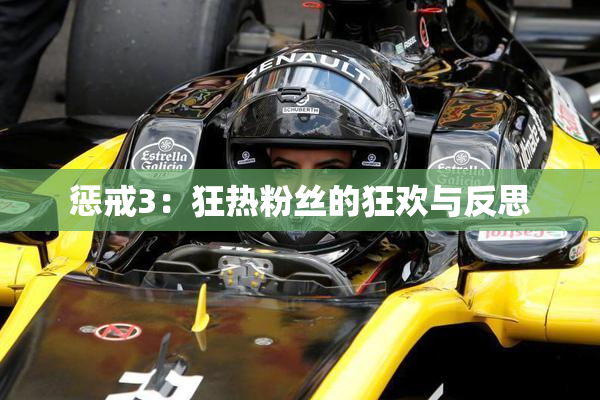 惩戒3：狂热粉丝的狂欢与反思