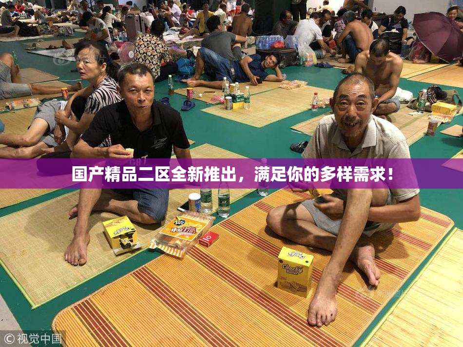 国产精品二区全新推出，满足你的多样需求！