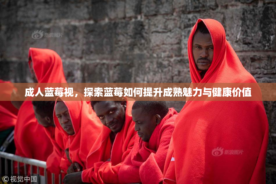 成人蓝莓视，探索蓝莓如何提升成熟魅力与健康价值