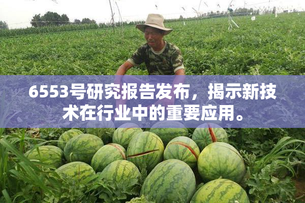 6553号研究报告发布，揭示新技术在行业中的重要应用。