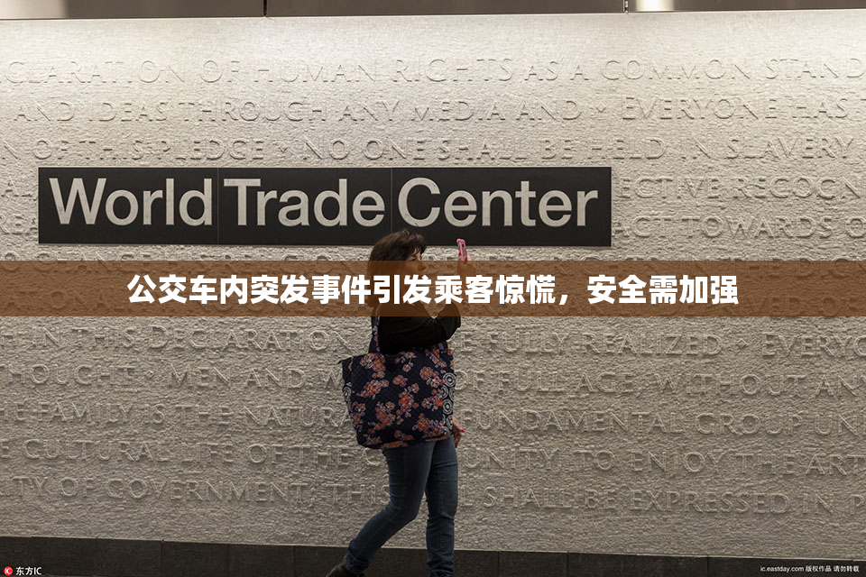 公交车内突发事件引发乘客惊慌，安全需加强