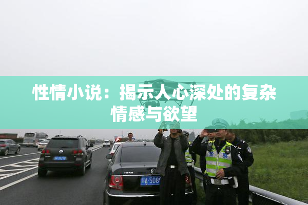 性情小说：揭示人心深处的复杂情感与欲望