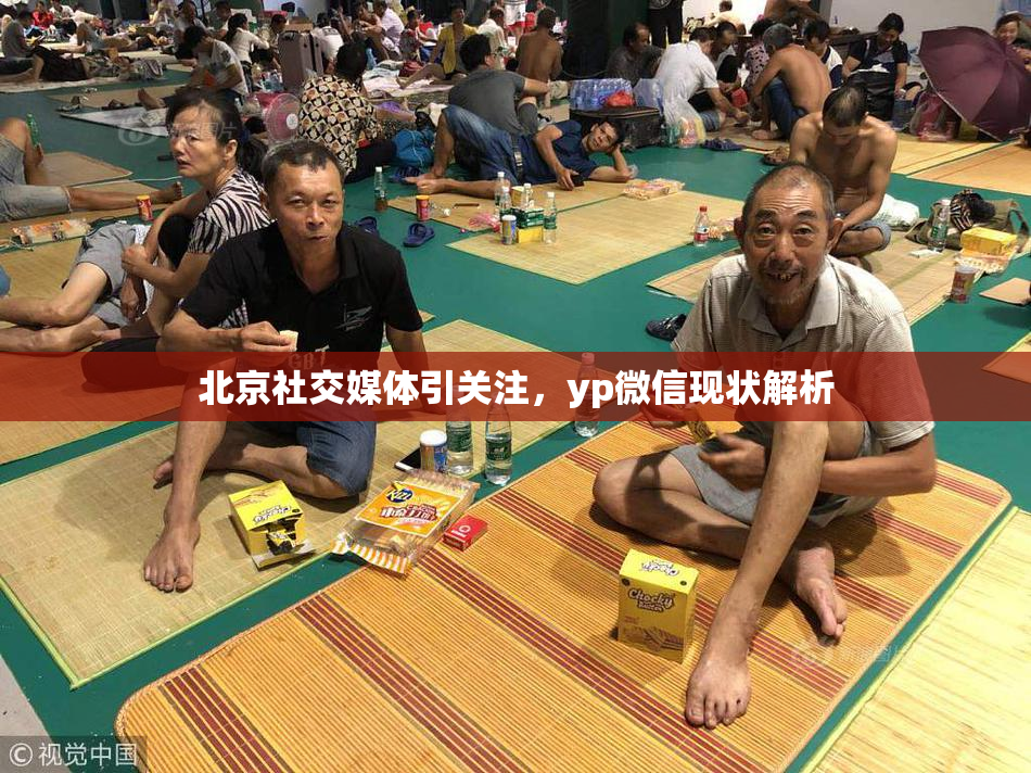 北京社交媒体引关注，yp微信现状解析