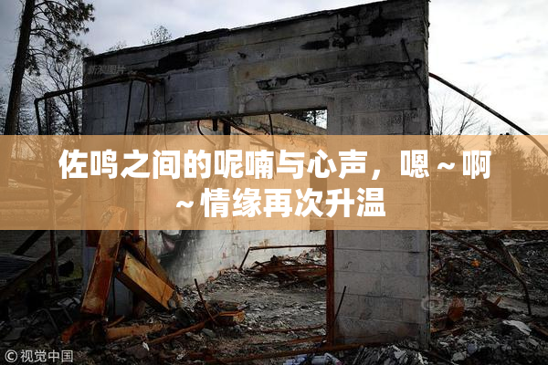 佐鸣之间的呢喃与心声，嗯～啊～情缘再次升温