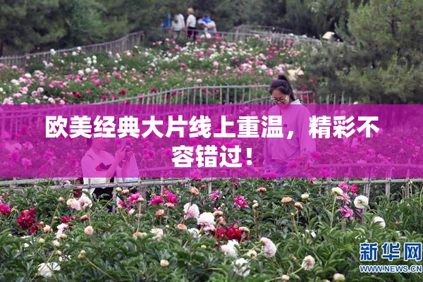 欧美经典大片线上重温，精彩不容错过！