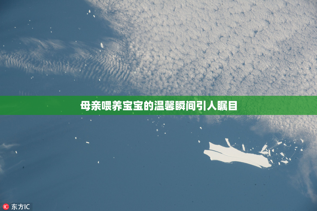 母亲喂养宝宝的温馨瞬间引人瞩目