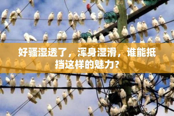 好骚湿透了，浑身湿滑，谁能抵挡这样的魅力？
