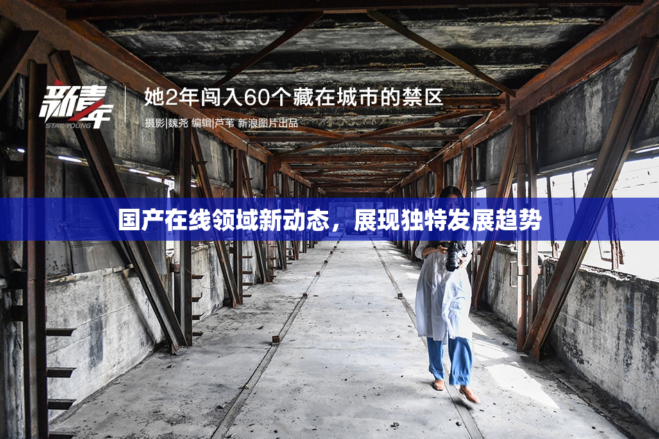 国产在线领域新动态，展现独特发展趋势