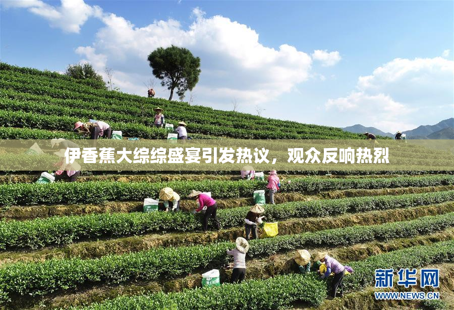 伊香蕉大综综盛宴引发热议，观众反响热烈
