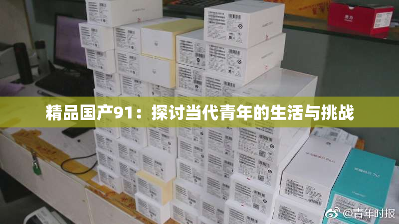 精品国产91：探讨当代青年的生活与挑战