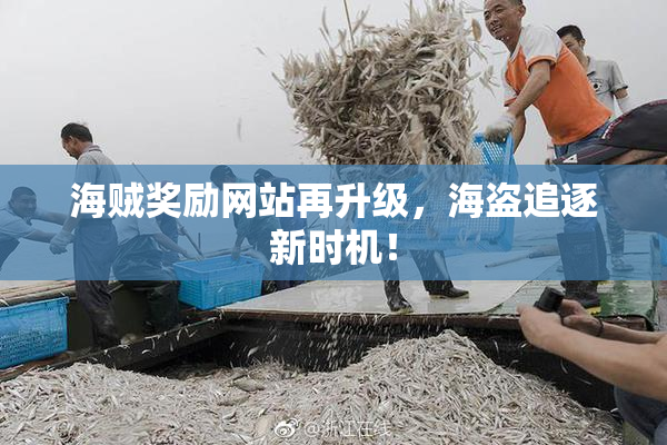 海贼奖励网站再升级，海盗追逐新时机！