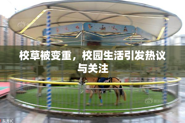 校草被变重，校园生活引发热议与关注