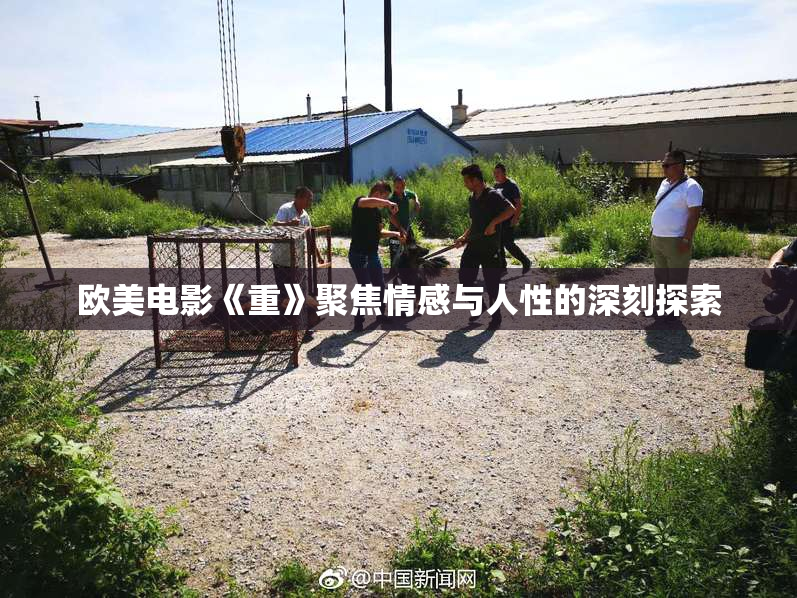 欧美电影《重》聚焦情感与人性的深刻探索