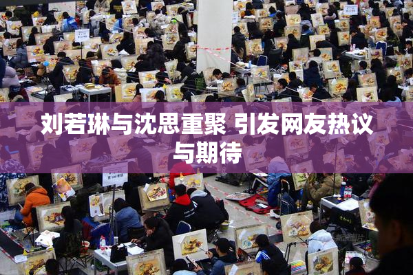 刘若琳与沈思重聚 引发网友热议与期待