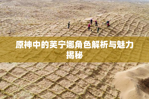 原神中的芙宁娜角色解析与魅力揭秘