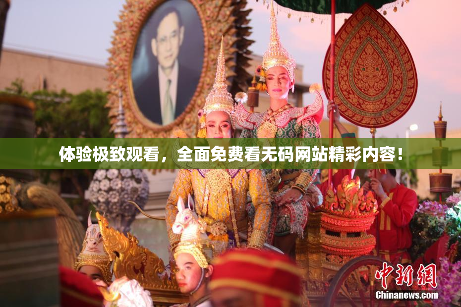 体验极致观看，全面免费看无码网站精彩内容！