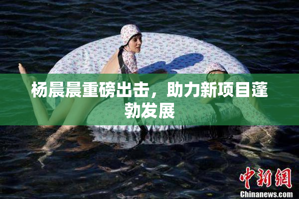 杨晨晨重磅出击，助力新项目蓬勃发展