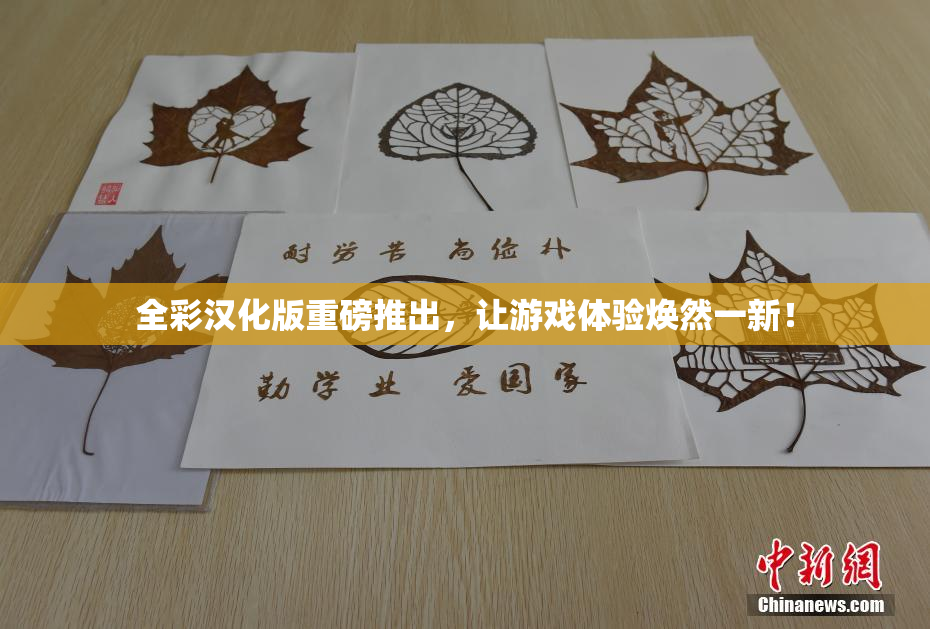 全彩汉化版重磅推出，让游戏体验焕然一新！