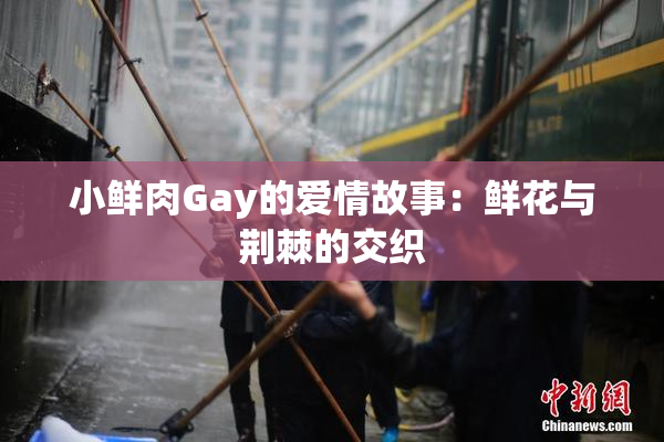 小鲜肉Gay的爱情故事：鲜花与荆棘的交织