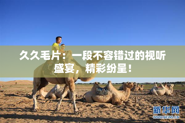 久久毛片：一段不容错过的视听盛宴，精彩纷呈！