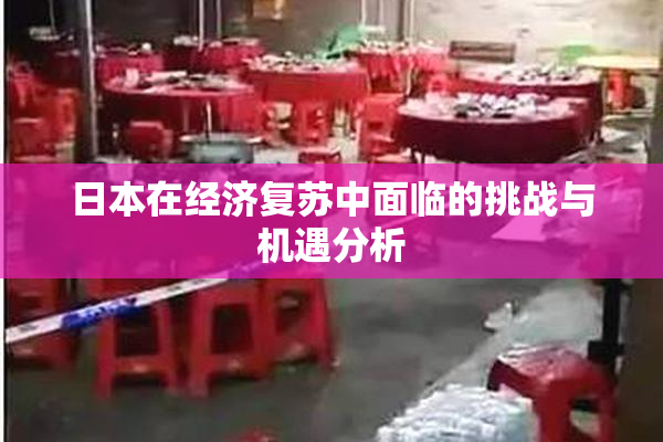 日本在经济复苏中面临的挑战与机遇分析
