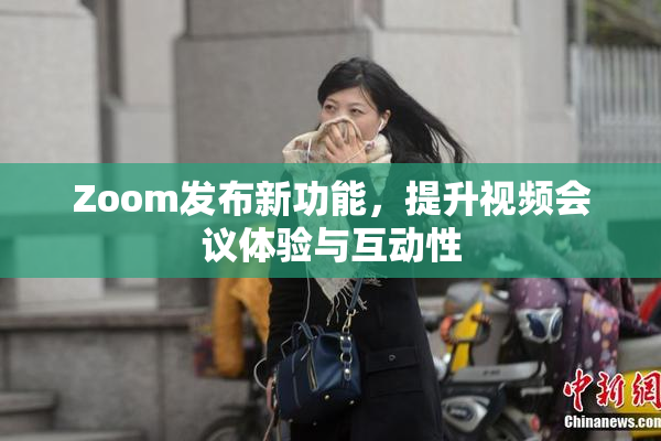 Zoom发布新功能，提升视频会议体验与互动性