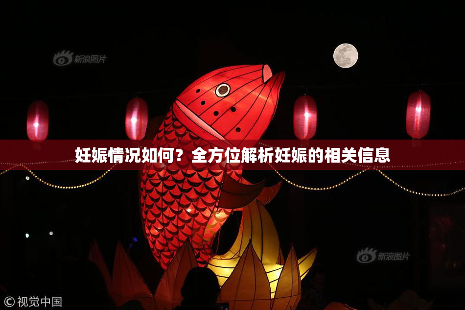 妊娠情况如何？全方位解析妊娠的相关信息