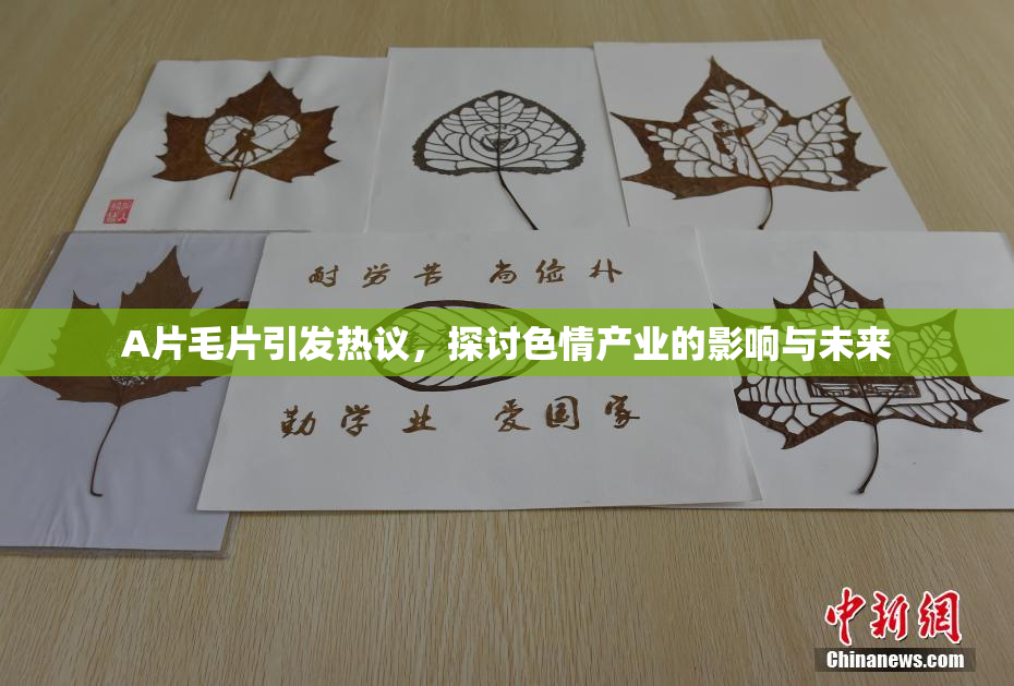 A片毛片引发热议，探讨色情产业的影响与未来