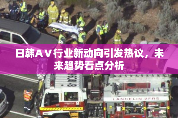 日韩AⅤ行业新动向引发热议，未来趋势看点分析
