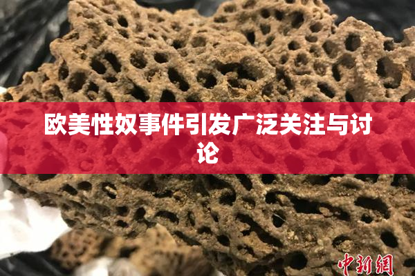 欧美性奴事件引发广泛关注与讨论