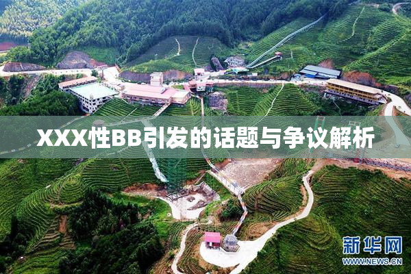 XXX性BB引发的话题与争议解析