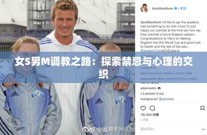 女S男M调教之路：探索禁忌与心理的交织