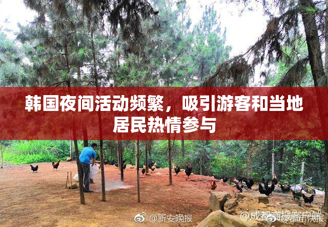 韩国夜间活动频繁，吸引游客和当地居民热情参与