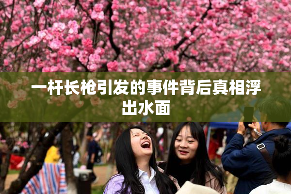 一杆长枪引发的事件背后真相浮出水面